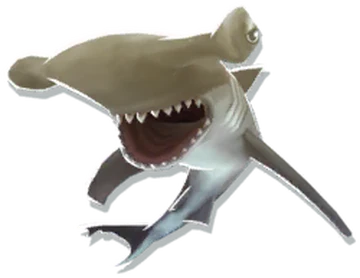 Baby Hammerhead Shark | Hungry Shark Wiki | Fandom
