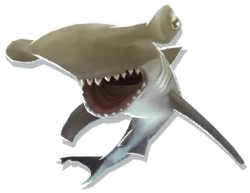 Baby Hammerhead Shark | Hungry Shark Wiki | Fandom