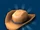 Cowboy Hat