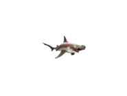 Evil Hammerhead No Background.png (27 KB) No background