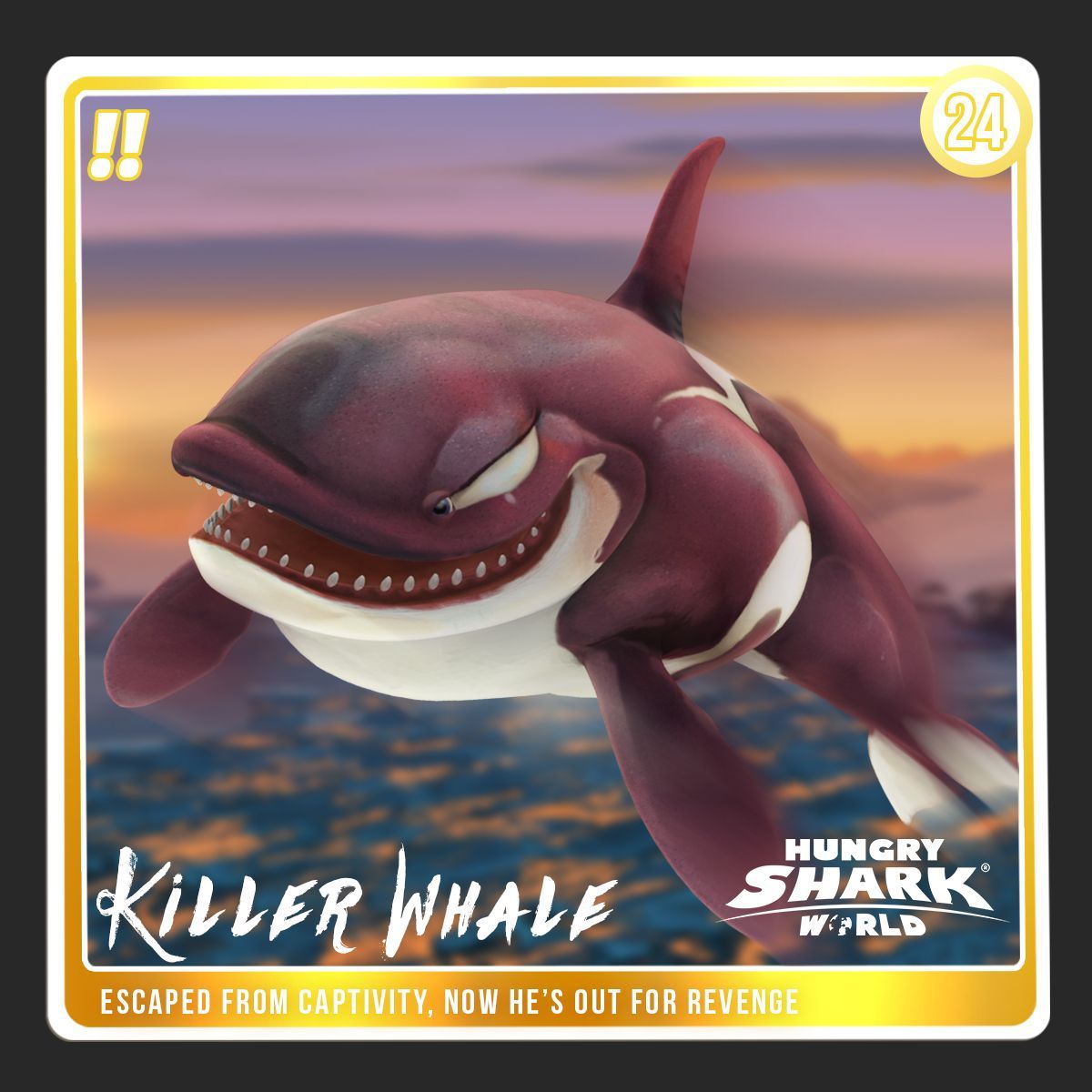 Killer Whale.
