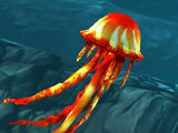 Red Jellyfish