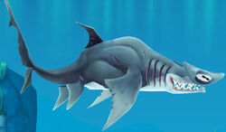 Great Hammerhead Hungry Shark Wiki Fandom