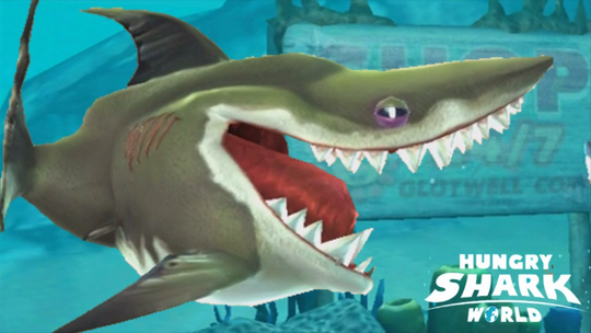 Pets, Hungry Shark Wiki