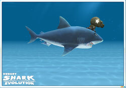 hungry shark evolution great white