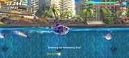 Clowncy in the Swimming Pool