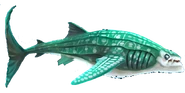 Whale Shark