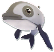 Baby vaquita 2024