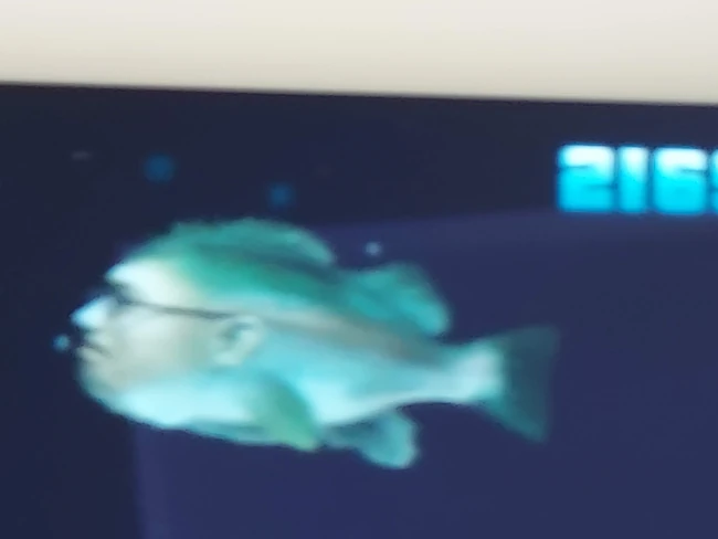 A Kempy Bass in Hungry Shark Trilogy