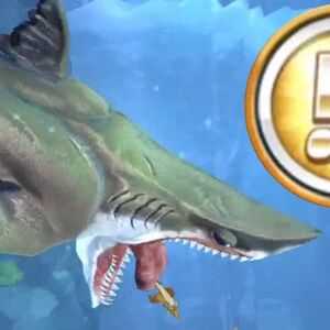 Tier Hsw Hungry Shark Wiki Fandom 2 days have passed since an old male megalodon shark cannibalized another after it had suffered crippling wounds at the hands of a mosasaurus. tier hsw hungry shark wiki fandom