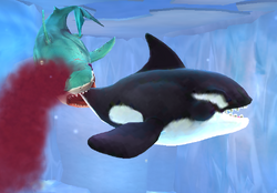 Hungry Orca, Roblox Wiki