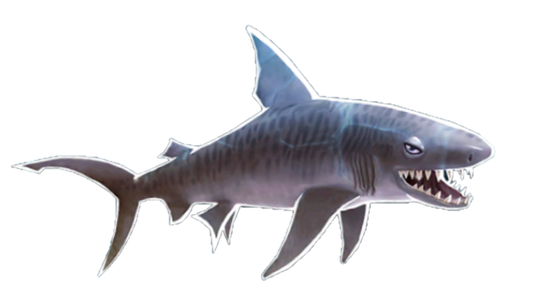 https://static.wikia.nocookie.net/hungry-shark/images/4/45/Tiger_Shark.png/revision/latest/scale-to-width-down/1091?cb=20220208084917