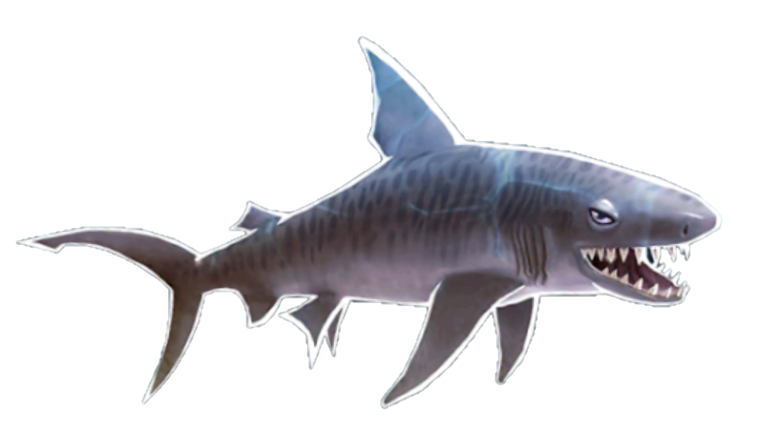 Bull Shark, Hungry Shark Wiki