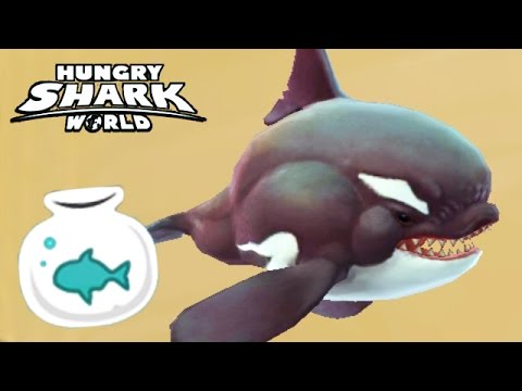 Dolphin, Hungry Shark Wiki