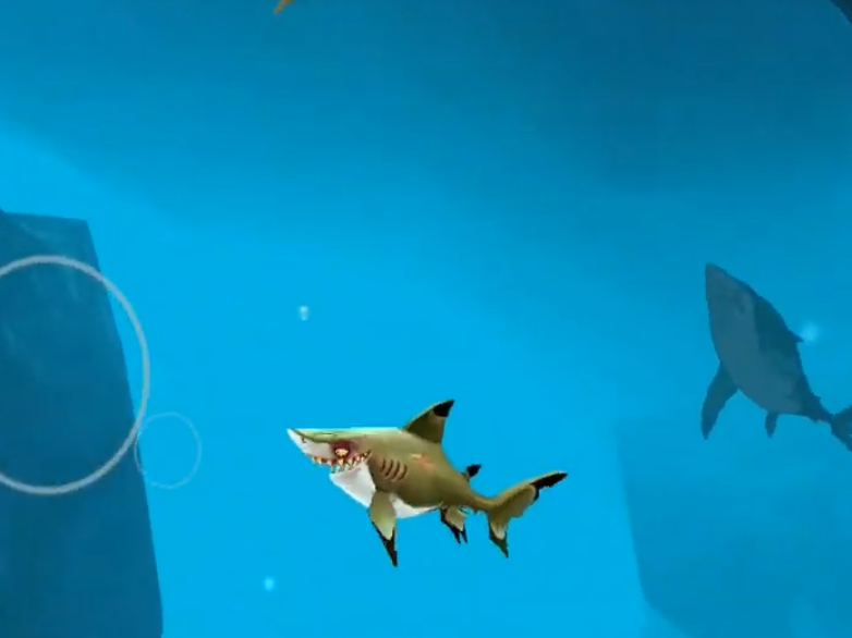 Hungry Shark Attack - Fish Games Shark World Shark Evolution Shark