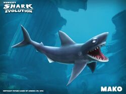 Mako Shark Hse Hungry Shark Wiki Fandom