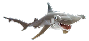 Hammerhead Shark