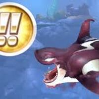 Tier Hsw Hungry Shark Wiki Fandom These are all based off prehistoric and existing shark species (plus a few other creatures). tier hsw hungry shark wiki fandom