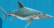 Mako Shark profile (HSW)