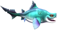 Sailfin Roughshark