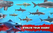 Evolve Your Sharks (HSE)