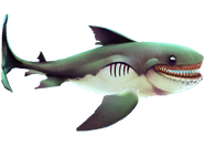 Megamouth Shark