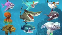 Pets, Hungry Shark Wiki