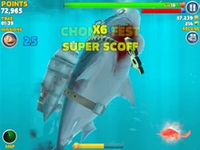 A turtle being eaten