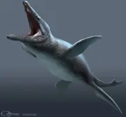 Liopleurodon