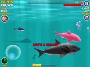 Enemy Megalodon killed a Great White Shark