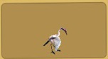 A stork as it appears on the missions screen.