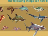 Enemy M Sharks png.jpeg (83 KB) Enemy M sharks