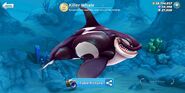 new Killer Whale (HSW) redesign with darker texture (that looks he's covered in INK)