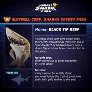 Glutwell Corp's Shark files recorded of the Blacktip Reef Shark