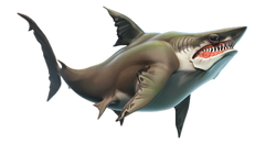 Megalodon Hungry Shark Wiki Fandom