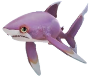 Whitetip Reef Shark without background