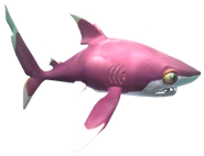 Older Whitetip Reef Shark without background
