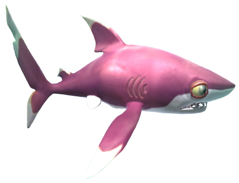 whitetip reef shark