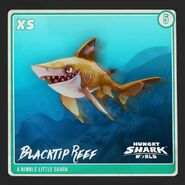 Blacktip Reef Shark's Shark Tank card.