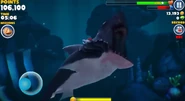 When it originally appeared in the Moon on a Stick cave.
