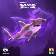 The evolution of the hammerhead