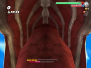 The Basking Shark's mouth