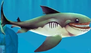 Megamouth profile