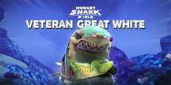 VETERAN GREAT WHITE SHARK - VIP SHARK PASS EXCLUSIVE SQUADMATES - NEW  HUNGRY SHARK WORLD UPDATES 