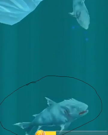 enemy ice shark  hungry shark wiki  fandom