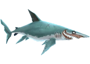 Longfin Mako