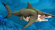 Megalodon profile