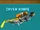 Diver