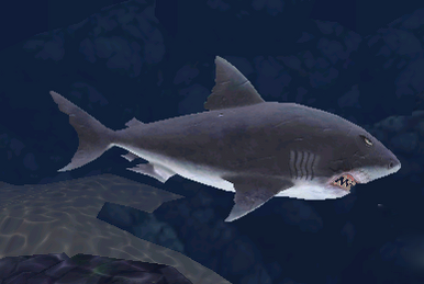 Kempy's Fortress, Hungry Shark Wiki