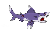 Original drawing of the Whitetip Reef Shark